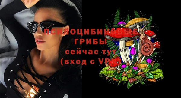 прущая мука Богородск