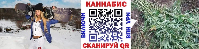 сколько стоит  Белгород  shop формула  Шишки марихуана VHQ 